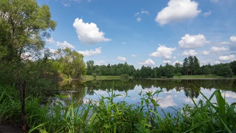 Hyperlapse Along a Forest Lake with Cloud Reflections Stock Footage 309523551