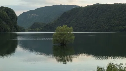 Hyperlapse Arsie 스톡 동영상 91367277