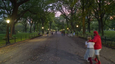 Hyperlapse Central Park Mall (1 of 2) Stock Footage 163561037