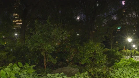 Hyperlapse Central Park Mall (2 of 2) Stock Footage 163561103