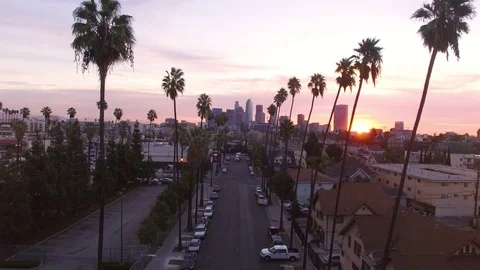 Hyperlapse Cityscape of LA flanked by two road of Palm Trees at sunrise Stock-Footage 71304642