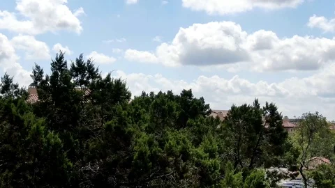 Hyperlapse of Clouds and Cedar Trees on a Windy Texas Summer Day Stock Footage