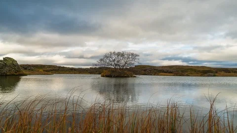 Hyperlapse of Clouds Moving Over a Lone Tree Stock Footage 126199052