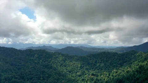 Hyperlapse of clouds over wilderness Video stock 131415928