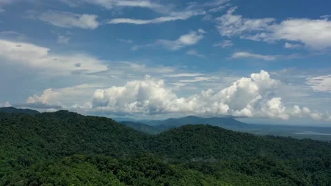 Hyperlapse of cumulus clouds above forest Stock Footage 131420603