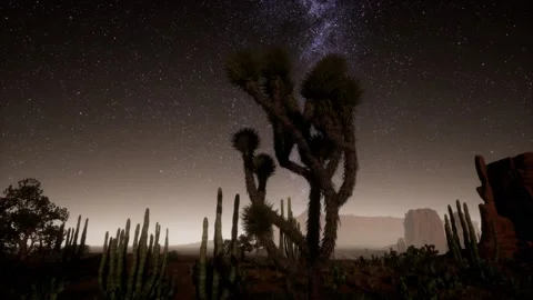 Hyperlapse in Death Valley National Park Desert Moonlit Under Galaxy Stars Stock Footage