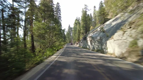 Hyperlapse Driving of Sequoia National Park Generals Highway Southbound 04 Rear Stock Footage 331451857