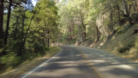 Hyperlapse Driving of Sequoia National Park Generals Highway Southbound 05 Rear Stock Footage 340240825