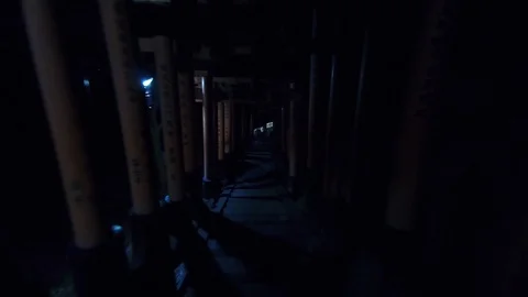 Hyperlapse footage through Shinto Torii gates at night in Kyoto, Japan Video stock 102124165