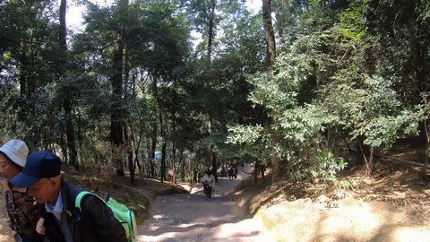 Hyperlapse Golden Temple View down Staircase Stock Footage 105246689