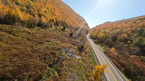 Hyperlapse Highway FPV Catskills Mountains New York  Autumn Forest Drone Aerial Stock Footage 221120306