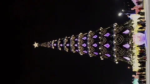 Hyperlapse of a large Christmas tree on a square in the city in the evening Video stock 124834649