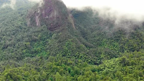 Hyperlapse: Misty mountains of the coromandel ranges, New Zealand Stock Footage 132630200