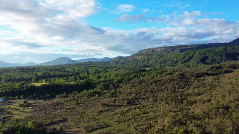 Hyperlapse over the forest Stock Footage 273515204