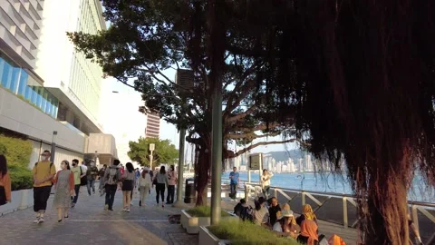 Hyperlapse of people walking in Tsim Sha Tsui water front at sunny day Video stock 142335815