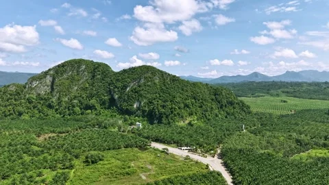 Hyperlapse of a rocky mountain surrounded by oil palm plantations Stock Footage 337014891