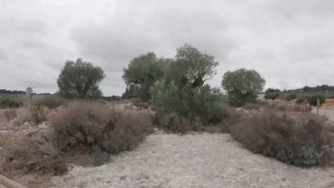 Hyperlapse seamless loop driving roundabout Stock Footage 123359425