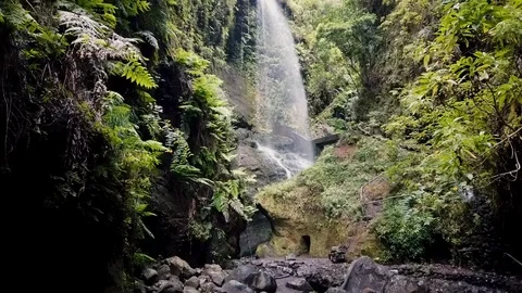 Hyperlapse of section of the hiking path to Los Tilos waterfall Video stock 126788821