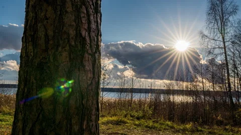 Hyperlapse on the shore of a forest lake, time lapse, beautiful autumn landscape Stock Footage 164385181
