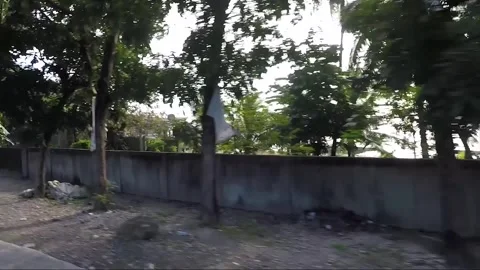 Hyperlapse, Side View from the road, Vehicle Shot, Driving, Cebu, Philippines Stock Footage 255047386