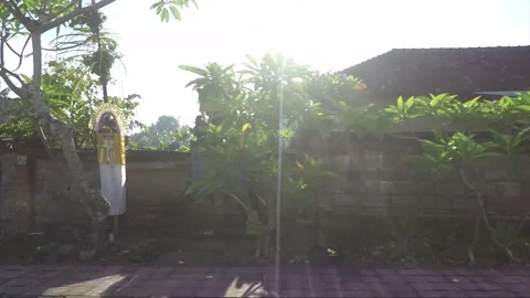 Hyperlapse, Side View, Vehicle Shot, Driving on the road, Bali, Indonesia Stock-Footage 251982341