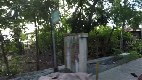 Hyperlapse, Side View Vehicle Shot, View from the road, Cebu, Philippines Video stock 255224156