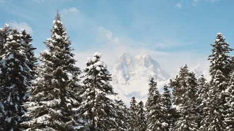 Hyperlapse Snowy pine forest with Ushba peak in Svaneti Georgia, pristine a.. Stock Footage 311881719