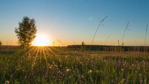 Hyperlapse of sunflowers field at sunset. Beautiful summer landscape Stock Footage 157254394
