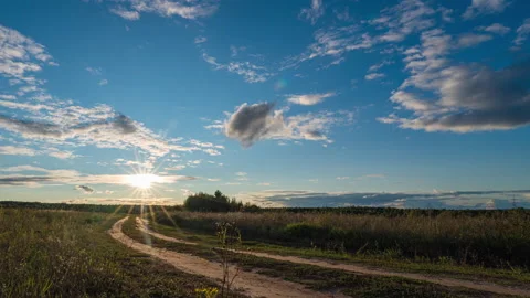 Hyperlapse of sunflowers field at sunset. Beautiful summer landscape Stock Footage 160540273