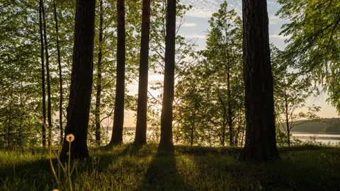 Hyperlapse Sunset Over Forest and Lake: A Mesmerizing Time-Lapse with Camera Stock Footage 284773220