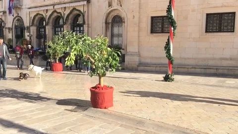 Hyperlapse taken in front of Duke's Palace in Dubrovnik Stock Footage 72076594