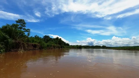 Hyperlapse from the Tarcoles River as navigating through the lush tropical Stock Footage 285530133