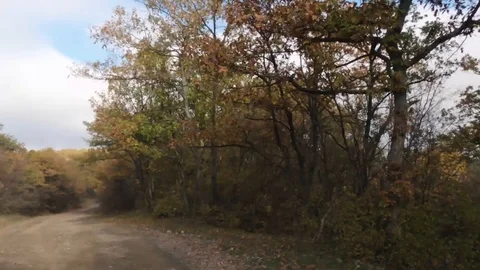 Hyperlapse top of a car driving in a colorful forest on dirt road hd Stock Footage 123407408