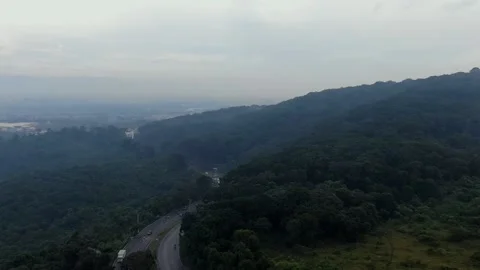 Hyperlapse of traffic in green foggy forest after rain Stock Footage