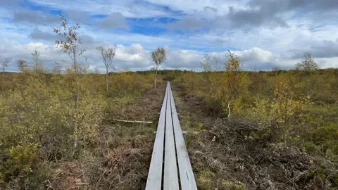 Hyperlapse of trail in Store Mosse national park located in Jönköping county. 스톡 동영상 229280581