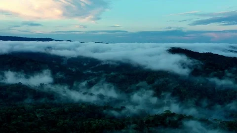 Hyperlapse of a tropical forest with a green canopy covered in fog Stock Footage 143038032