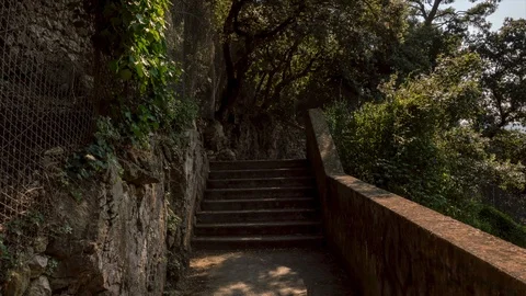 Hyperlapse of a walk along the forest of the coast of Cap Martin Stock Footage 94757895