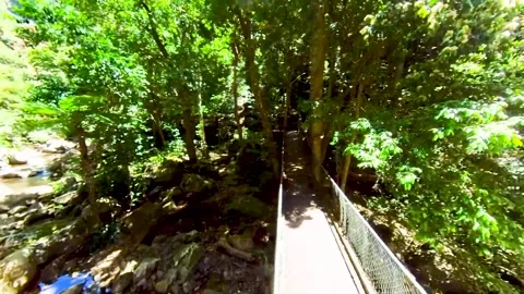 Hyperlapse of walking along hanging bridge in Minnamurra Rainforest walk, Sydney Stock Footage 168926573
