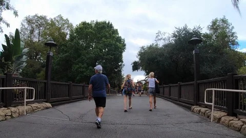 Hyperlapse walking though Animal Kingdom at Disney - Editorial Stock Footage 100282961