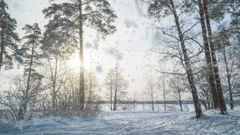 Hyperlapse in winter snowy forest during snowfall, beautiful winter landscape Stock Footage 146416390