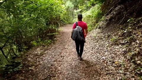 Hyperlapse of young man walking along a path in the forest of Los Tilos Stock Footage 126788994