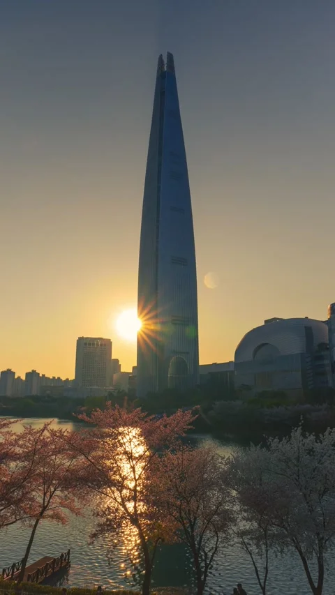 Hyperlapse Zoom to Lotte World Tower Silhouette at Sunset with Cherry Blossoms Stock Footage 334706097