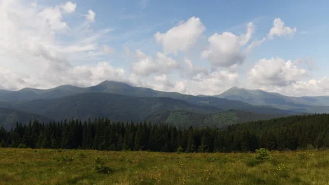 Hyperloop video. Cow eats a grass. Majestic Carpathian Mountains Stock Footage 303652331