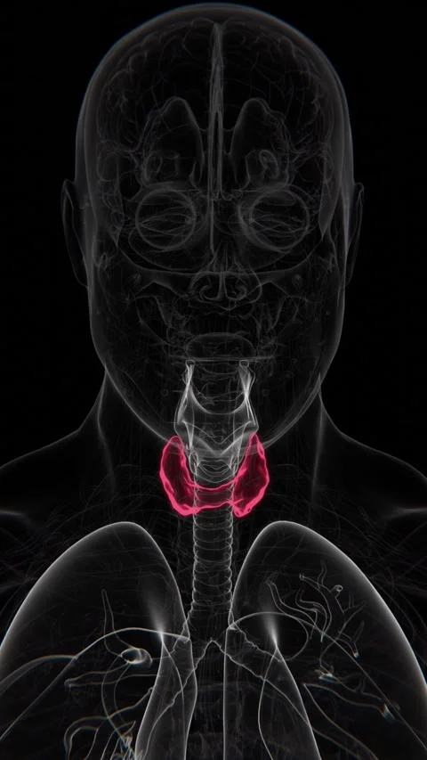 Hyperthyroidism Indication in Vertical HQ Video | Thyroid Disorders Vertical HQ Stock Footage 301878167
