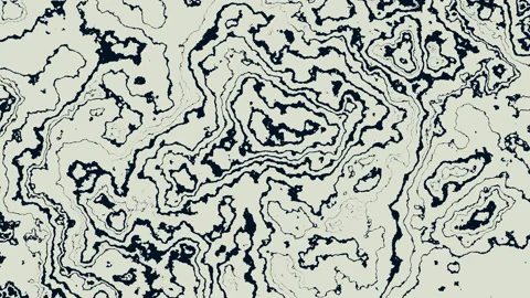 Hypnotic abstract psychedelic animation. Black and white pattern. Stock Footage 236032870