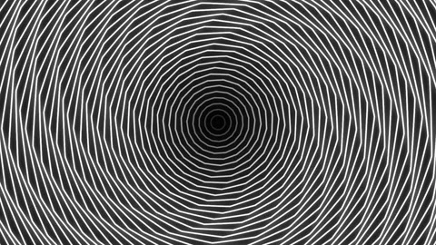 Hypnotic black and white concentric circles loop. Optical illusion animation Stock Footage 333829857