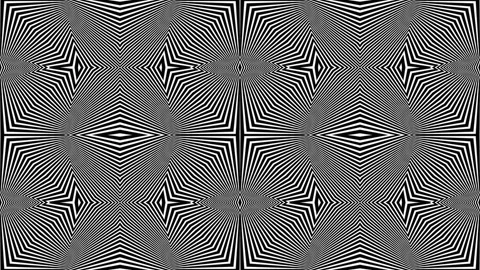 Hypnotic Black and White Optical Flow Seamless Loop Pattern Stock Footage 314871325