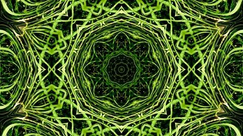 Hypnotic Green Kaleidoscope Loop Abstract Fractal Animation Background Stock Footage 311478891