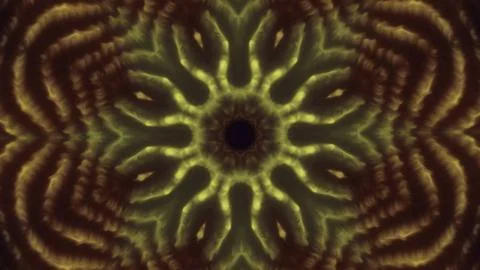 Hypnotic kaleidoscope floral pattern. Motion. Dynamic energetic shimmering Stock Illustration