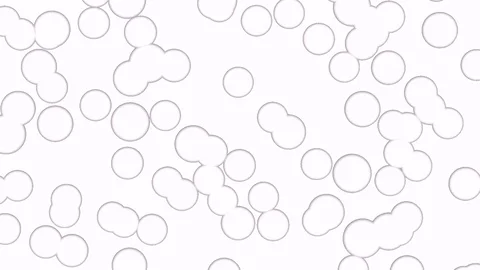 Hypnotic movement circles. Pattern. Stock-Footage 73540748